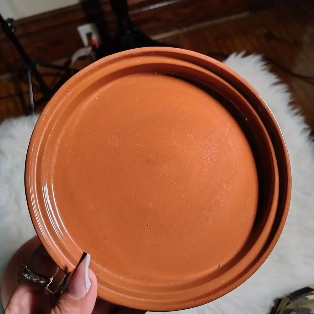 Boston Warehouse Terra Cotta Original Garlic Baker 7